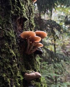 c9b55bb7b58151ab5a1daa4b7ddd8c98