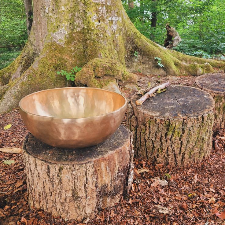 fabdafb92545c4526175cd4177cc263f